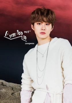 NCT ジョンウ トレカ まとめ セット 정우 JUNGWOO NCT 127 JUNGWOO ジョンウ トレーディングカード 20枚セット