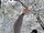 TEN March 30, 2023 (3).jpeg
