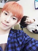 Doyoung Winwin Vyrl January 17, 2017