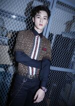 Kun (Burberry) 3