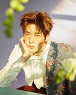 Jaehyun (Try Again)