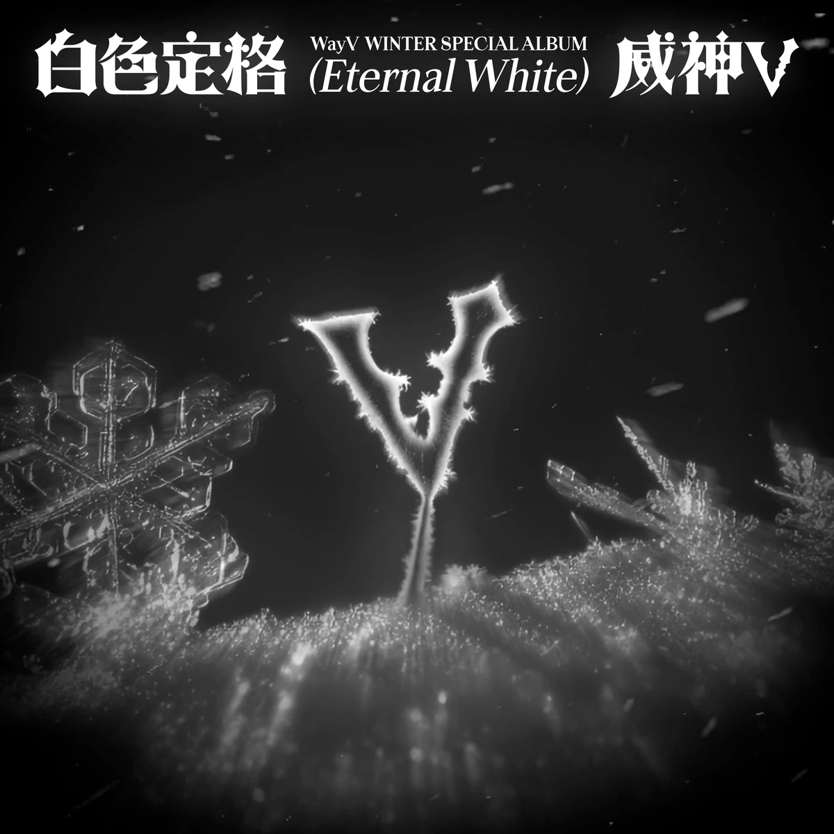 白色定格(Eternal White) | NCT Wiki | Fandom