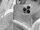 TEN March 18, 2023 (1).jpeg