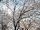 TEN March 30, 2023 (2).jpeg
