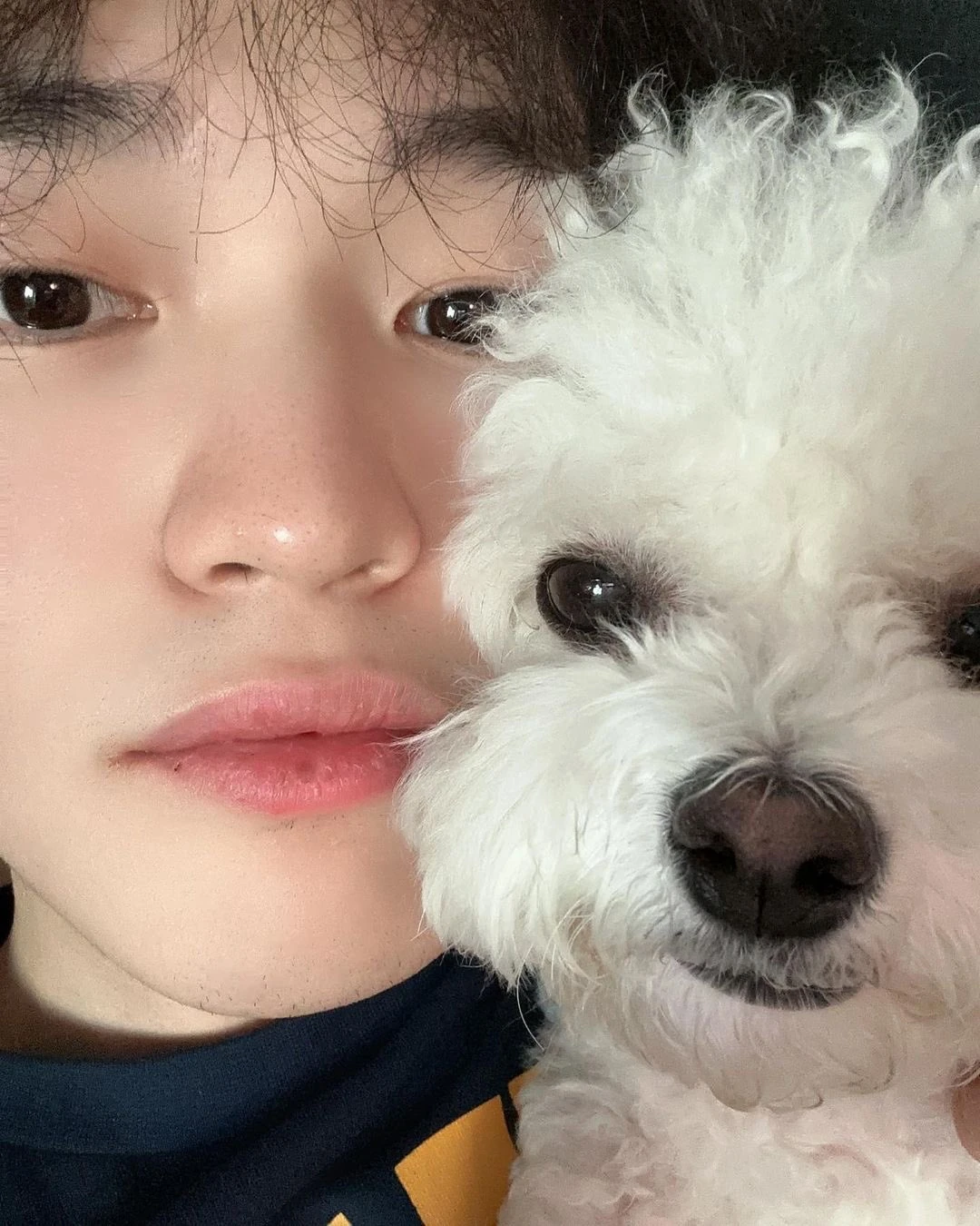 Daegal/Gallery | NCT Wiki | Fandom