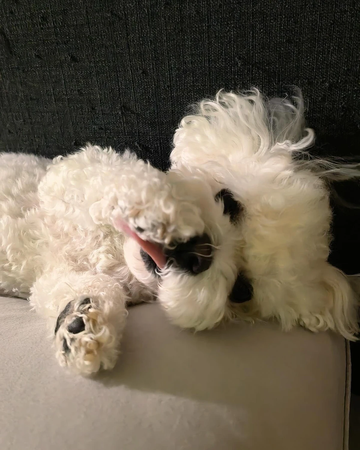 Daegal/Gallery | NCT Wiki | Fandom