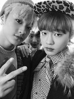 Chenle Jeno Mark Vyrl February 10, 2017