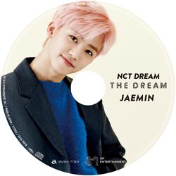 ジェミン TheDream NCTDREAM The Dream | NCT Wiki | Fandom