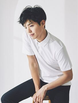 Park Bo-gum, K-Drama Wiki
