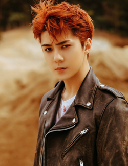 Sehun K Drama Wiki Fandom Sehun K Drama Wiki Fandom