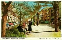 Tel aviv rotshild