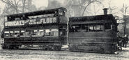 Flora's Tram Coach's Basis.