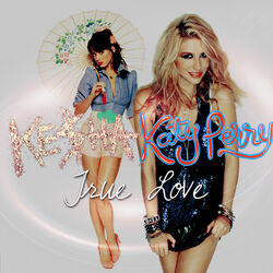 True Love (song), Ke$ha Wiki