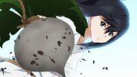 Shirayuki pulling the turnip out