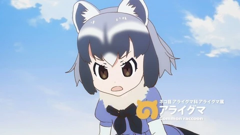 Common Raccoon | Japari Library Wiki | Fandom