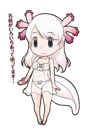 Mexico Salamander | Japari Library Wiki | Fandom