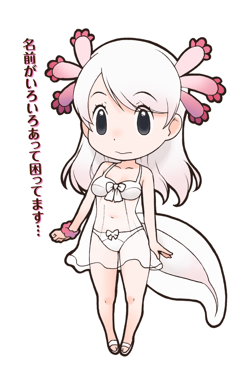 Mexico Salamander Japari Library Wiki Fandom Mexico Salamander Japari Library Wiki Fandom