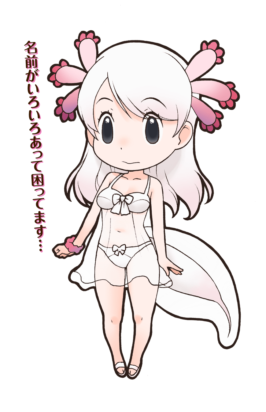 Mexico Salamander Japari Library Wiki Fandom