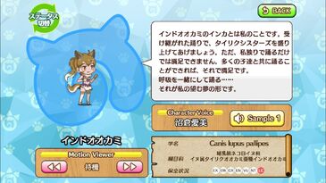 Indian Wolf Japari Library Wiki Fandom Indian Wolf Japari Library Wiki Fandom