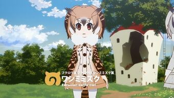 eurasian eagle owl japari library wiki fandom eurasian eagle owl japari library