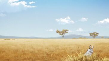Plains Zebra Japari Library Wiki Fandom Plains Zebra Japari Library Wiki Fandom