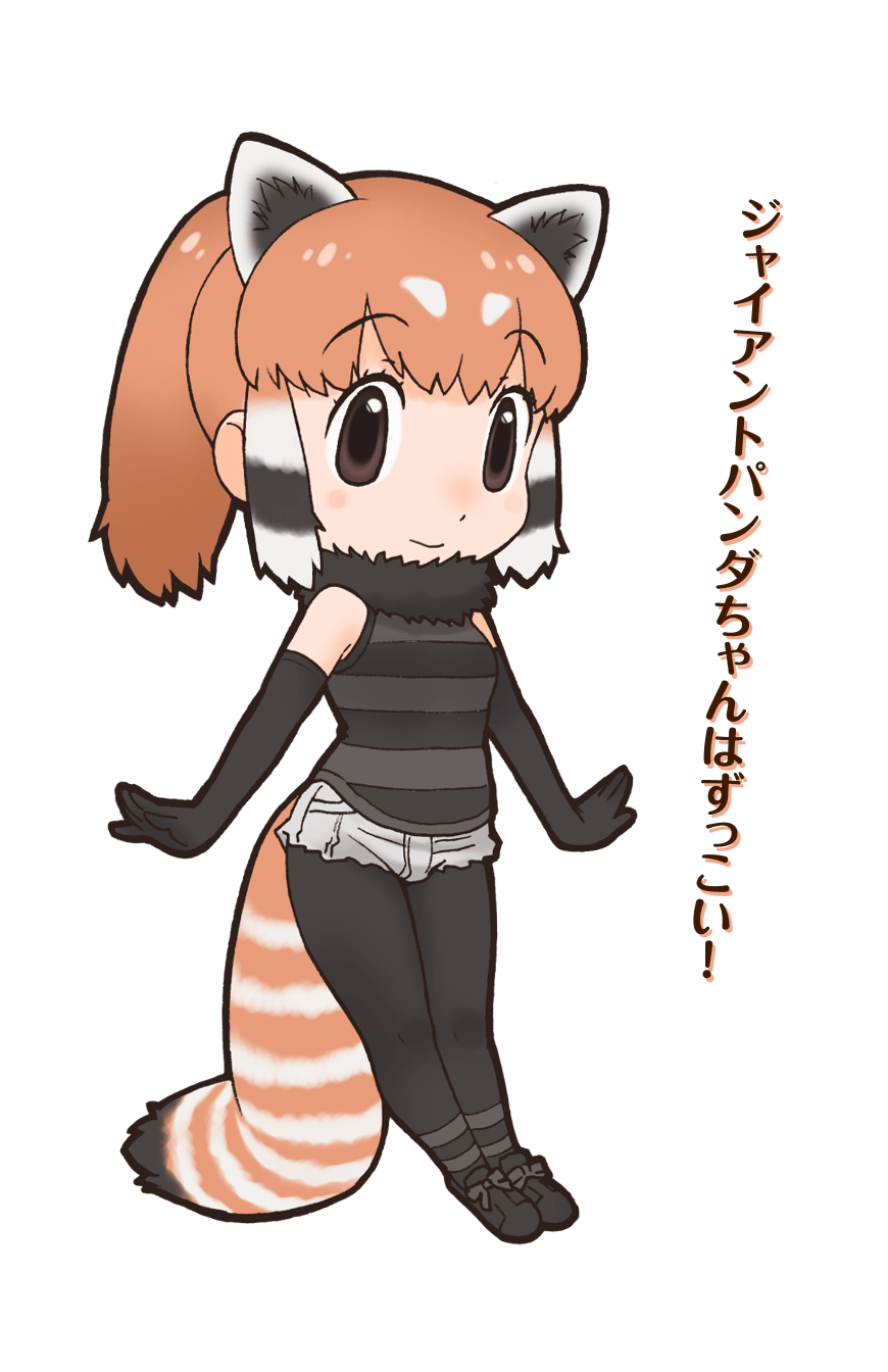 Lesser Panda Japari Library Wiki Fandom