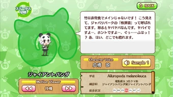 Giant Panda | Japari Library Wiki | Fandom