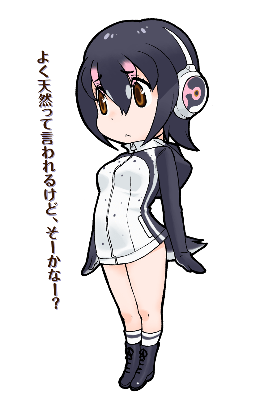 Humboldt Penguin Japari Library Wiki Fandom