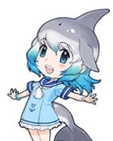 Wallpaper Bottlenose Dolphin Japari Library Wiki Fandom Desktop Wallpaper Free