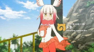 A016 Japanese Crested Ibis.jpg