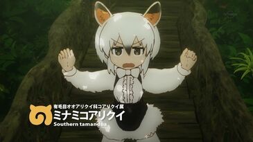 Southern Tamandua/Nexon Game - Japari Library, the Kemono Friends Wiki