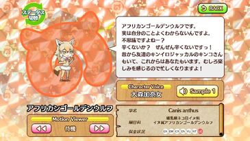 African Golden Wolf Japari Library Wiki Fandom