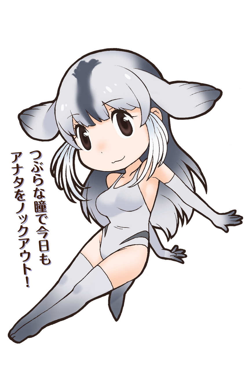 Bearded Seal Japari Library Wiki Fandom