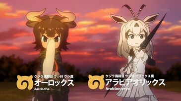 Arabian Oryx Japari Library Wiki Fandom