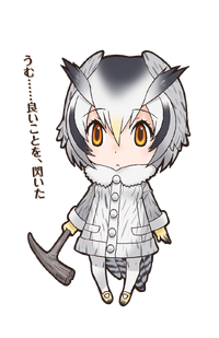 041 - Northern White-Faced Owl.png