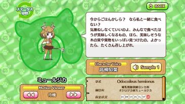 Mule Deer Japari Library Wiki Fandom