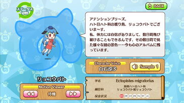 Passenger Pigeon Japari Library Wiki Fandom Passenger Pigeon Japari Library Wiki Fandom