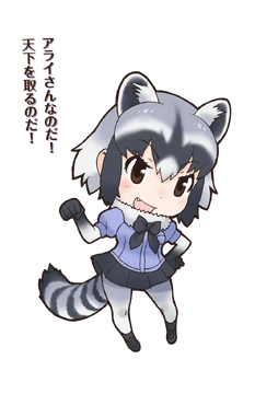 Common Raccoon | Japari Library Wiki | Fandom