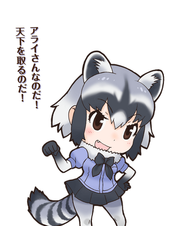 Common Raccoon Japari Library Wiki Fandom