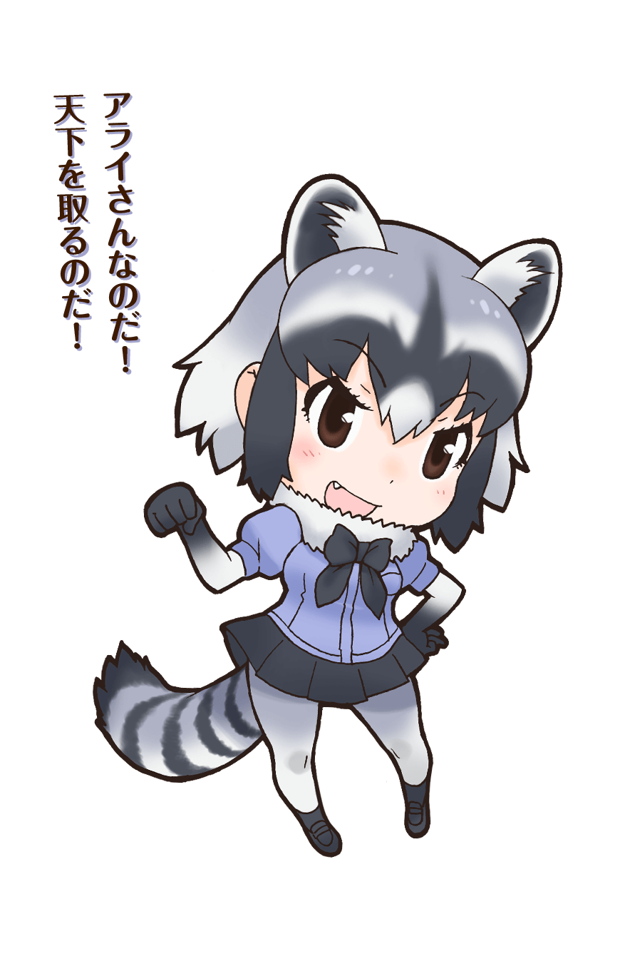 Common Raccoon Japari Library Wiki Fandom