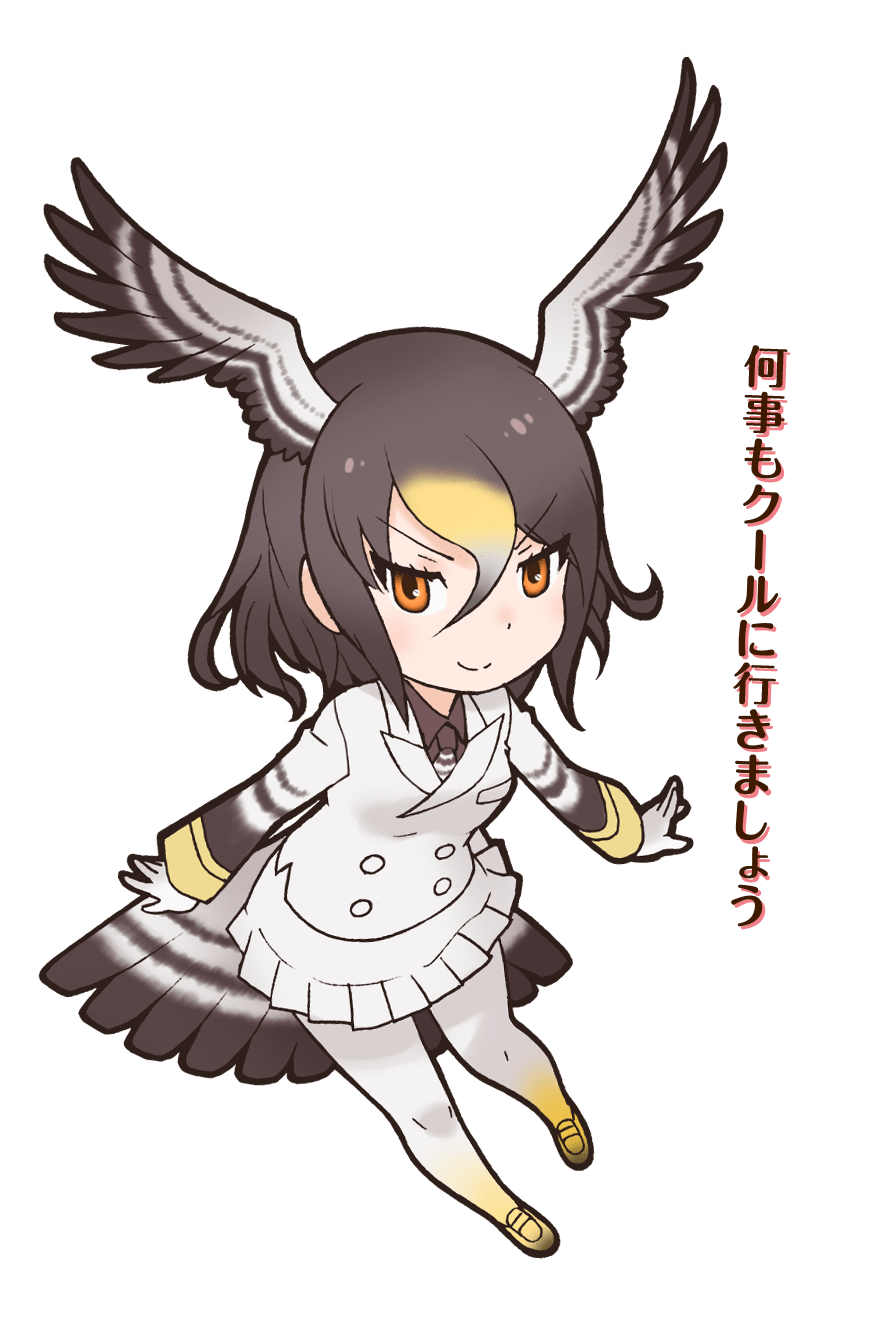 Northern Goshawk Japari Library Wiki Fandom