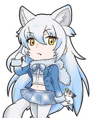 Arctic Wolf Japari Library Wiki Fandom Arctic Wolf Japari Library Wiki Fandom