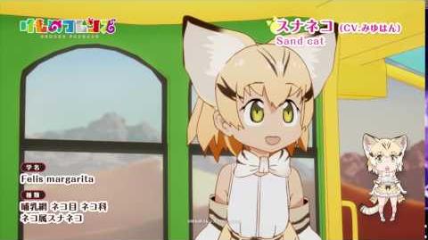 Mysterious Cave - Japari Library, the Kemono Friends Wiki