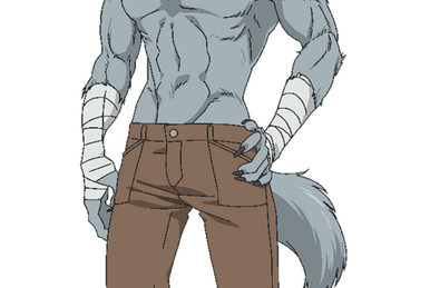 Genzo Shibata, Kemono Michi Wiki