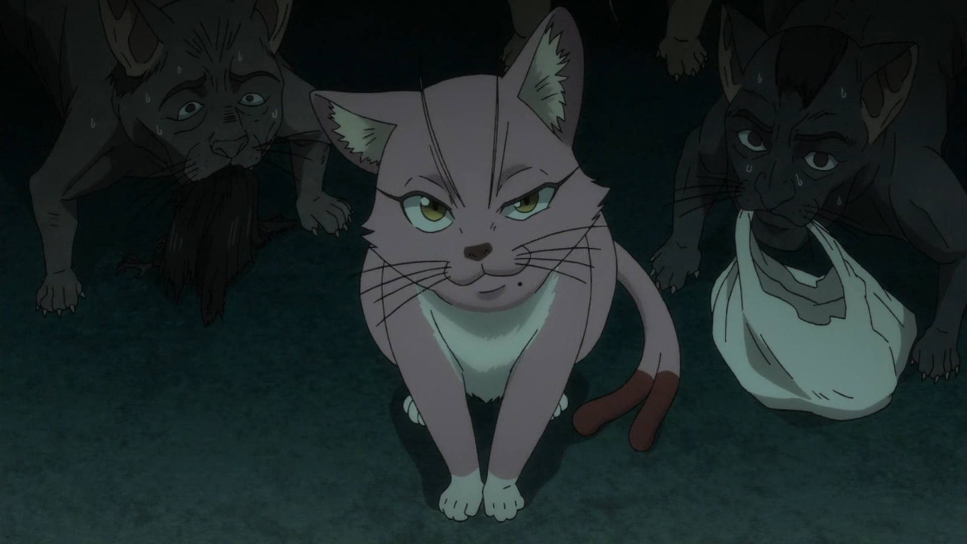 15 Most Memorable Anime Cats