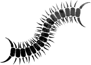 The Worm insignia