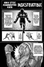 Adamantine Kata: Indestructible explained