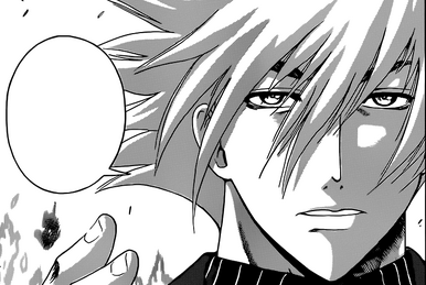 Isshinsai Ogata | History's Strongest Disciple Kenichi Wiki | Fandom