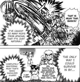 Kenichi.shoulder guard