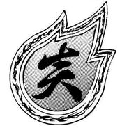 炎 (Flame): Hot (Muay Thai/Muay Boran)